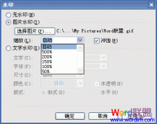 Word2003如何制作添加文字和图片水