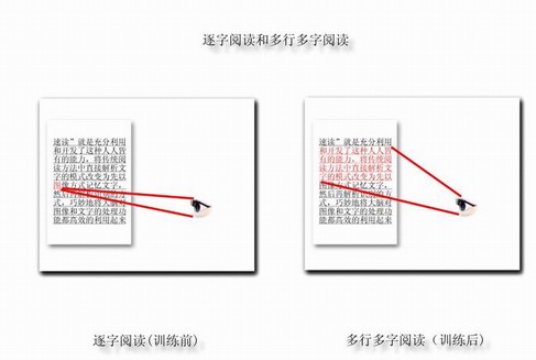 一目十行不是梦,过目不忘你也能! —— 精英特速读记忆训练网